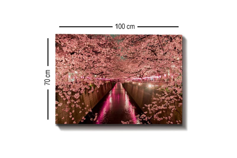 Canvastavla - Blommande körsbärsträd vid en kanal - Rosa / Grön / Lila - Inredning - Tavlor & konst - Canvastavlor