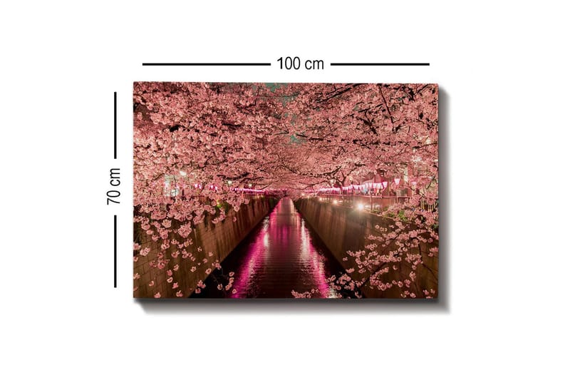 Canvastavla - Blommande körsbärsträd vid en kanal - Rosa / Grön / Lila - Inredning - Tavlor & konst - Canvastavlor