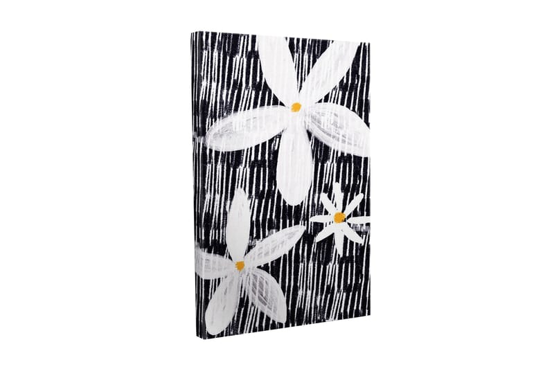 Canvastavla - Blommor i vitt och gult mot en svart bakgrund, Vit / Svart / Gul