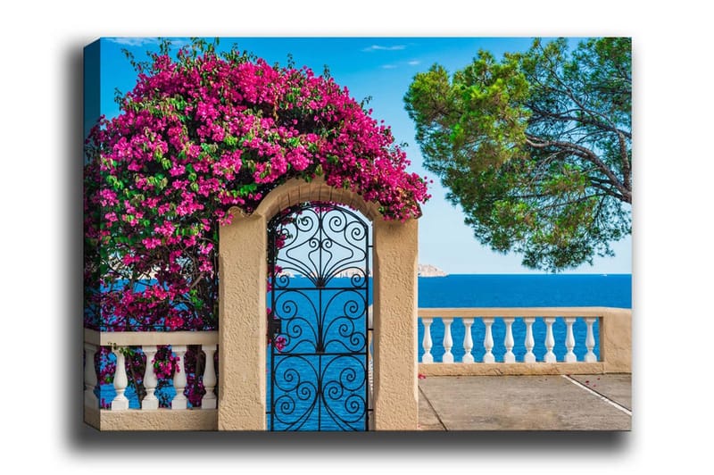 Canvastavla - Blomstrande bougainvillea vid en smidesgrind med havsutsikt, Rosa / Blå / Grön