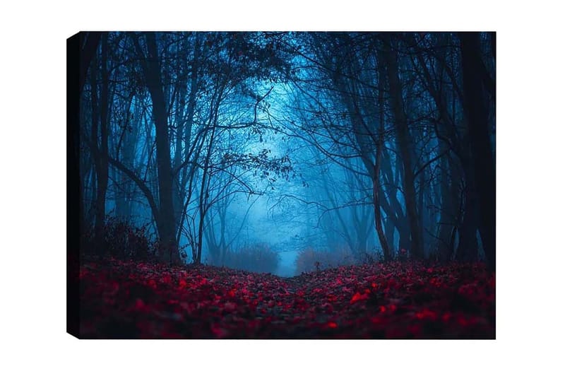 Canvastavla - Dimig skog med rödaktiga löv i en mystisk atmosfär, Mörkblå / Röd