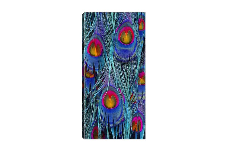 Canvastavla DKY Abstract & Fractals Flerfärgad - 50x120 cm - Inredning - Tavlor & konst - Canvastavlor
