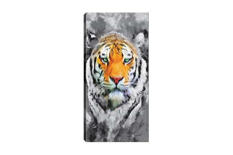 Canvastavla DKY Animals Flerfärgad - 50x120 cm - Inredning - Tavlor & konst - Canvastavlor