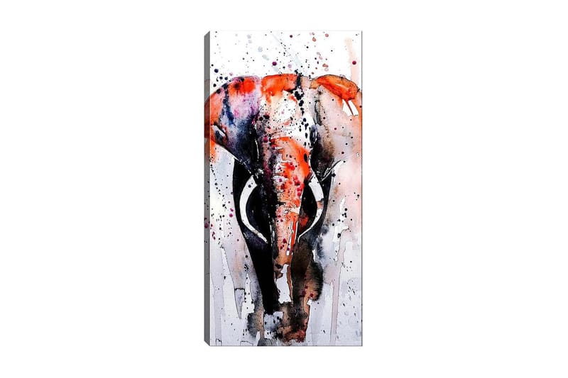 Canvastavla DKY Animals Flerfärgad - 50x120 cm - Inredning - Tavlor & konst - Canvastavlor