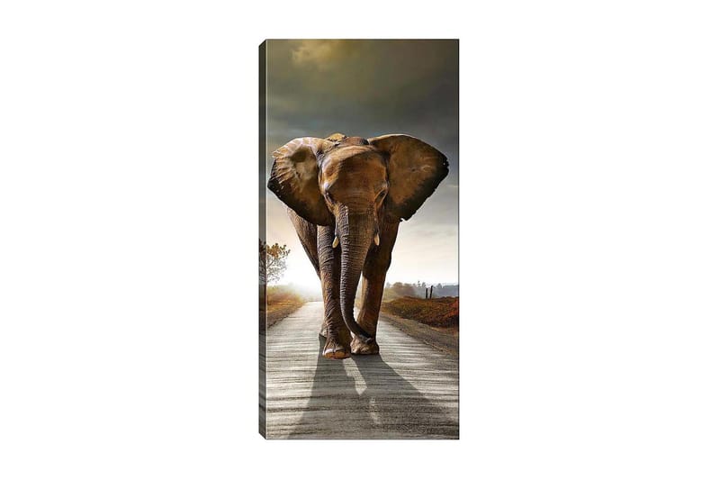 Canvastavla DKY Animals Flerfärgad - 50x120 cm - Inredning - Tavlor & konst - Canvastavlor