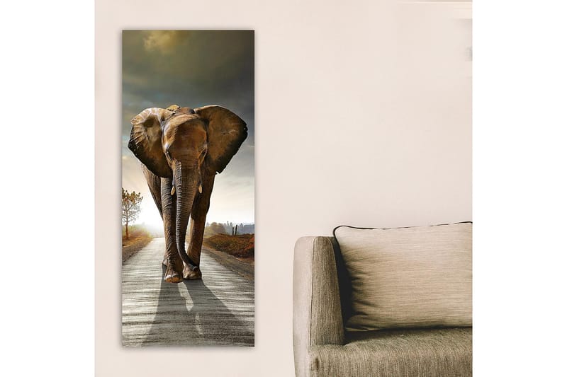 Canvastavla DKY Animals Flerfärgad - 50x120 cm - Inredning - Tavlor & konst - Canvastavlor
