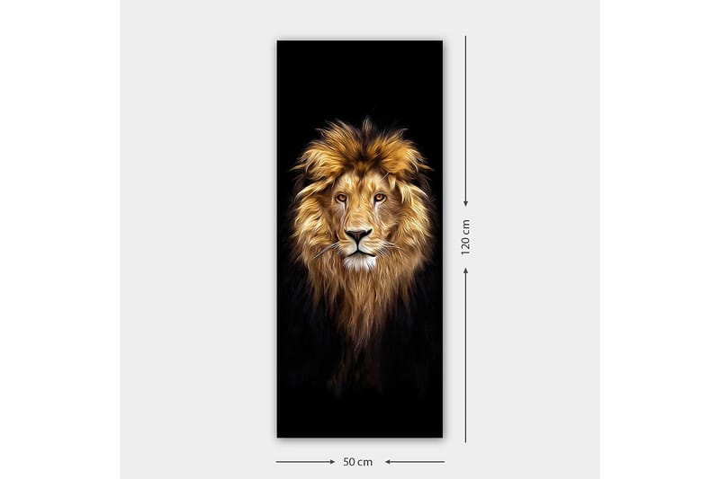 Canvastavla DKY Animals Flerfärgad - 50x120 cm - Inredning - Tavlor & konst - Canvastavlor