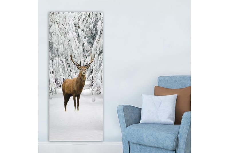 Canvastavla DKY Animals Flerfärgad - 50x120 cm - Inredning - Tavlor & konst - Canvastavlor
