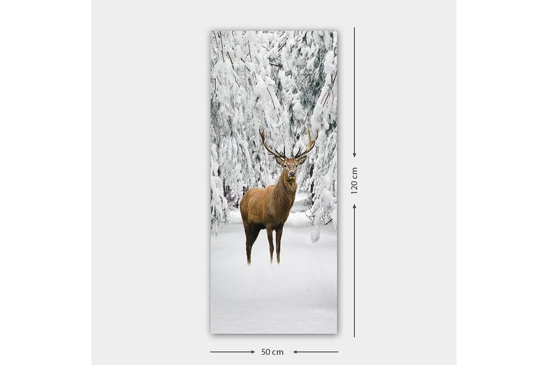 Canvastavla DKY Animals Flerfärgad - 50x120 cm - Inredning - Tavlor & konst - Canvastavlor