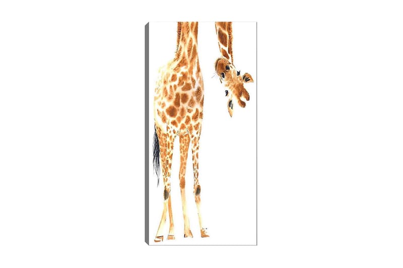 Canvastavla DKY Animals Flerfärgad - 50x120 cm - Inredning - Tavlor & konst - Canvastavlor