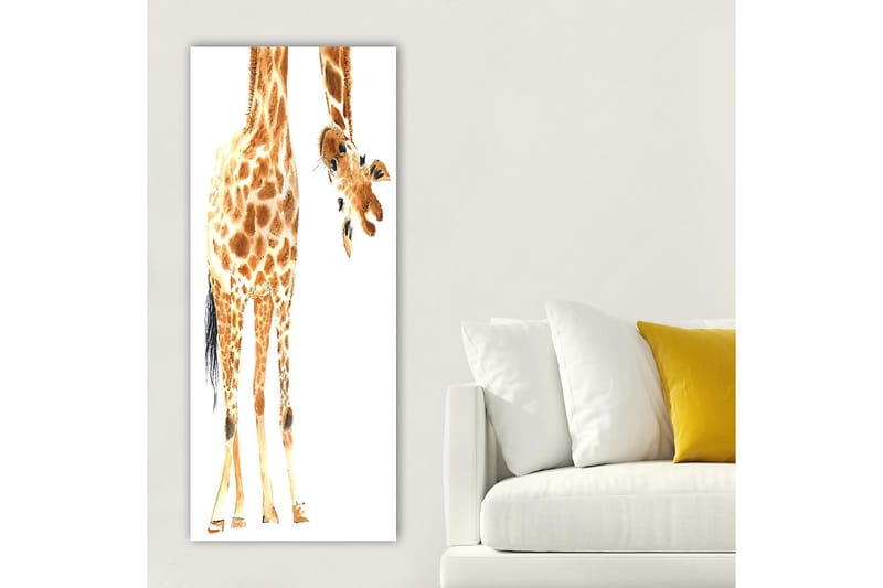 Canvastavla DKY Animals Flerfärgad - 50x120 cm - Inredning - Tavlor & konst - Canvastavlor
