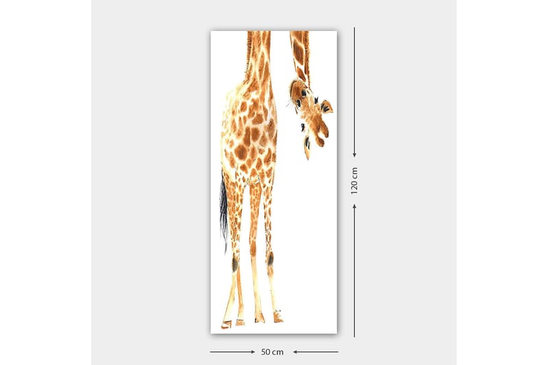 Canvastavla DKY Animals Flerfärgad - 50x120 cm - Inredning - Tavlor & konst - Canvastavlor