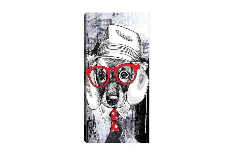 Canvastavla DKY Animals Flerfärgad - 50x120 cm - Inredning - Tavlor & konst - Canvastavlor