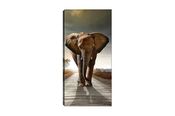 Canvastavla DKY Animals Flerfärgad - 50x120 cm - Inredning - Tavlor & konst - Canvastavlor