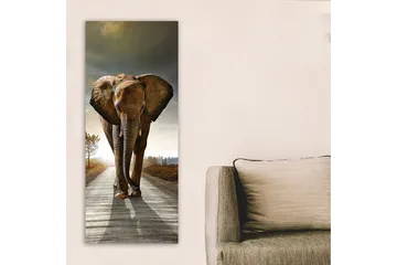 Canvastavla DKY Animals Flerfärgad - 50x120 cm - Inredning - Tavlor & konst - Canvastavlor