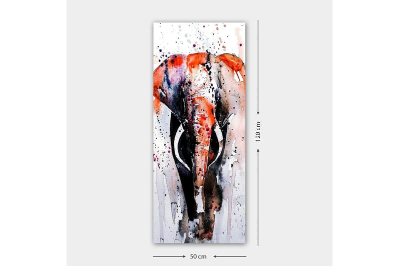 Canvastavla DKY Animals Flerfärgad - 50x120 cm - Inredning - Tavlor & konst - Canvastavlor