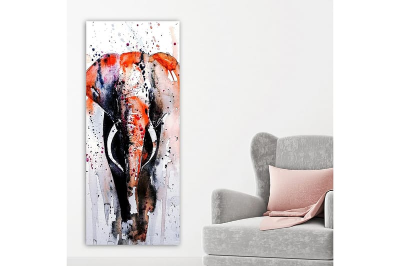 Canvastavla DKY Animals Flerfärgad - 50x120 cm - Inredning - Tavlor & konst - Canvastavlor