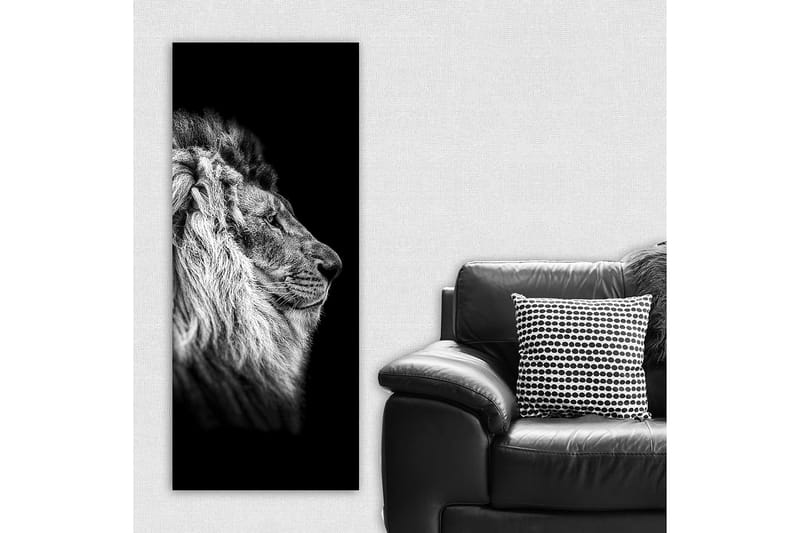 Canvastavla DKY Animals Flerfärgad - 50x120 cm - Inredning - Tavlor & konst - Canvastavlor