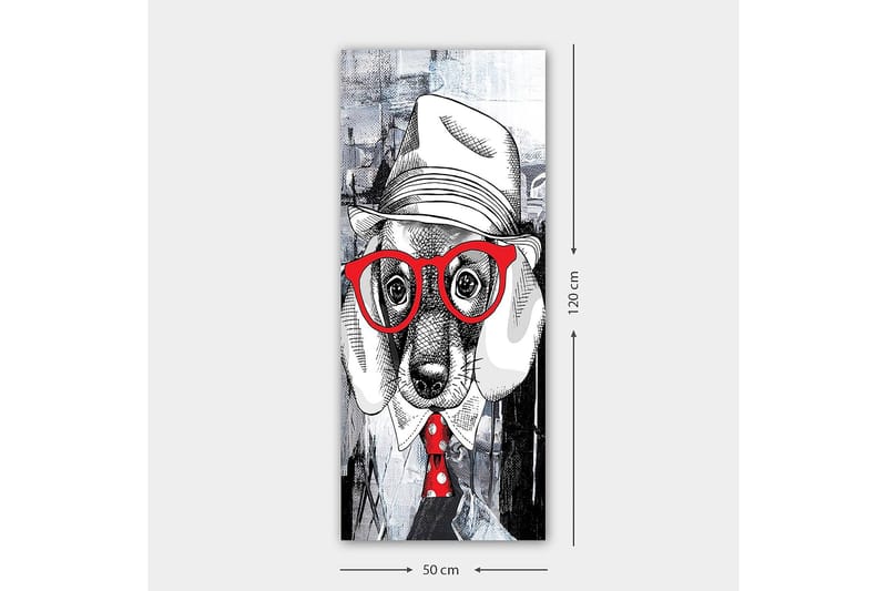 Canvastavla DKY Animals Flerfärgad - 50x120 cm - Inredning - Tavlor & konst - Canvastavlor