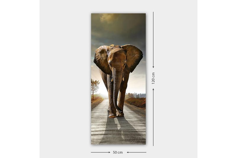 Canvastavla DKY Animals Flerfärgad - 50x120 cm - Inredning - Tavlor & konst - Canvastavlor