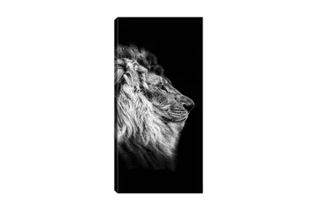Canvastavla DKY Animals Flerfärgad - 50x120 cm - Inredning - Tavlor & konst - Canvastavlor