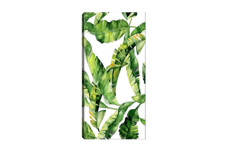 Canvastavla DKY Floral & Botanical Flerfärgad, 50x120 cm