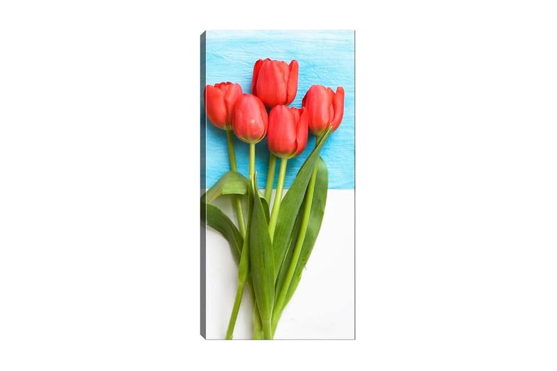 Canvastavla DKY Floral & Botanical Flerfärgad - 50x120 cm - Inredning - Tavlor & konst - Canvastavlor