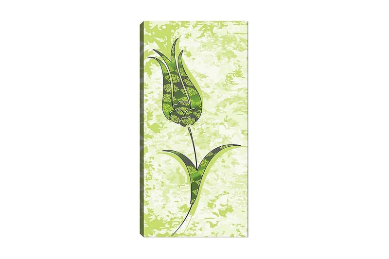 Canvastavla DKY Floral & Botanical Flerfärgad - 50x120 cm - Inredning - Tavlor & konst - Canvastavlor