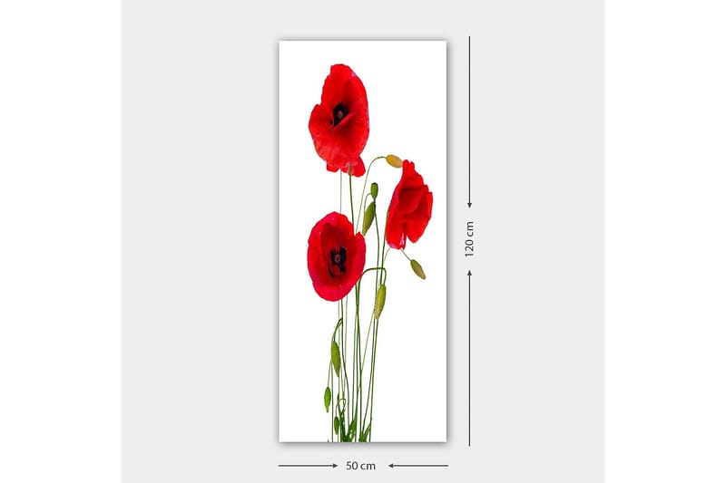 Canvastavla DKY Floral & Botanical Flerfärgad - 50x120 cm - Inredning - Tavlor & konst - Canvastavlor