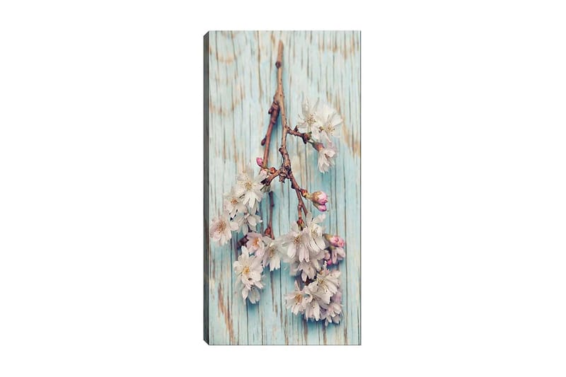 Canvastavla DKY Floral & Botanical Flerfärgad - 50x120 cm - Inredning - Tavlor & konst - Canvastavlor