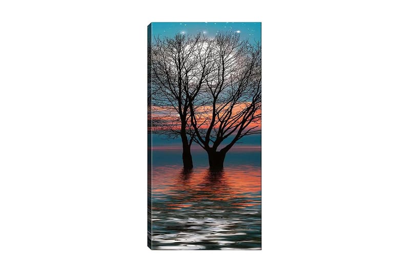 Canvastavla DKY Floral & Botanical Flerfärgad - 50x120 cm - Inredning - Tavlor & konst - Canvastavlor
