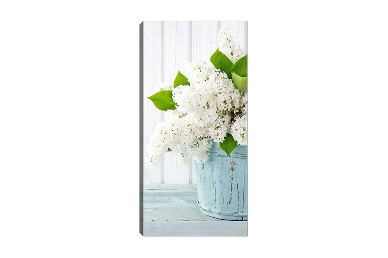 Canvastavla DKY Floral & Botanical Flerfärgad - 50x120 cm - Inredning - Tavlor & konst - Canvastavlor