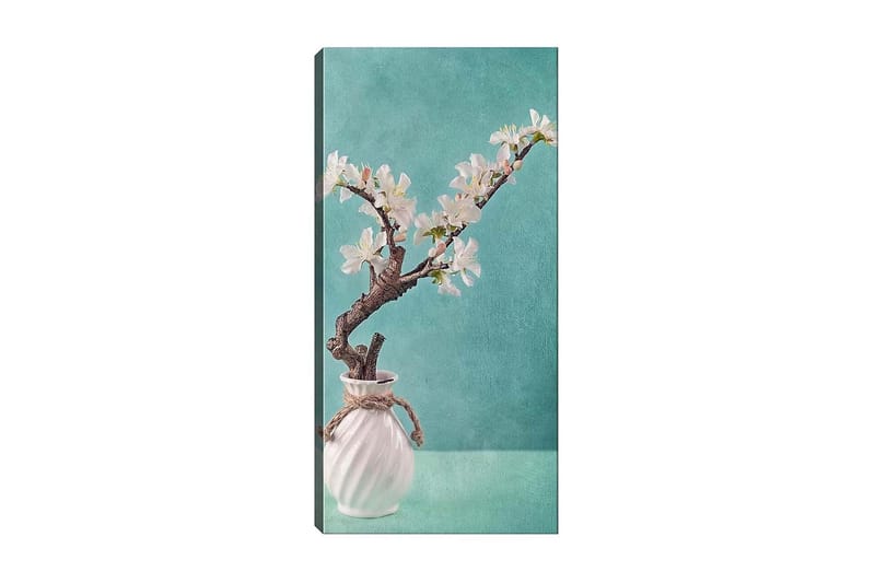 Canvastavla DKY Floral & Botanical Flerfärgad - 50x120 cm - Inredning - Tavlor & konst - Canvastavlor