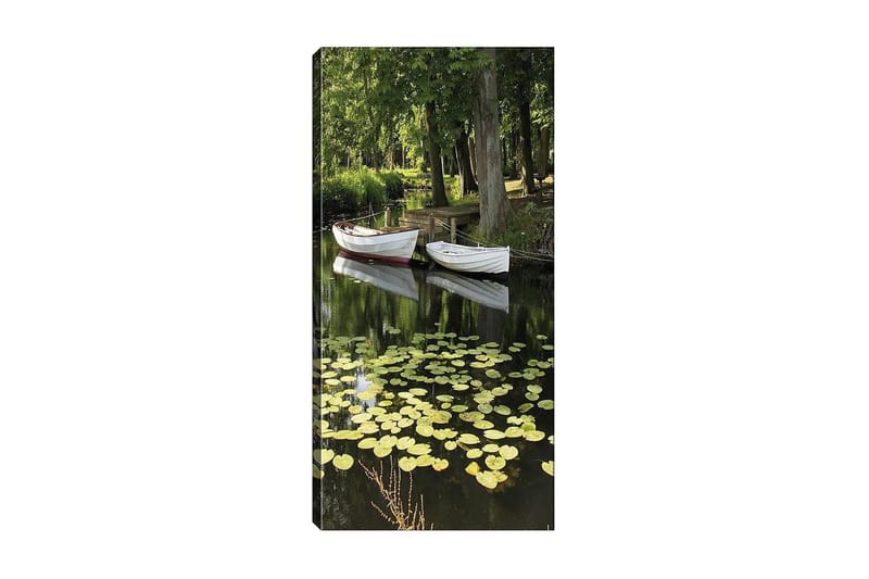Canvastavla DKY Floral & Botanical Flerfärgad - 50x120 cm - Inredning - Tavlor & konst - Canvastavlor