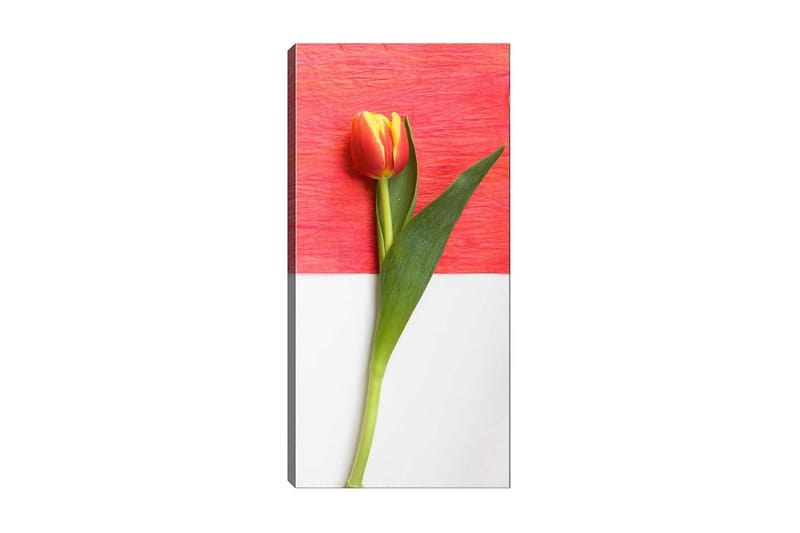 Canvastavla DKY Floral & Botanical Flerfärgad - 50x120 cm - Inredning - Tavlor & konst - Canvastavlor