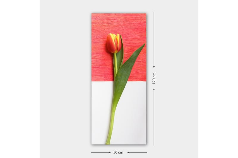 Canvastavla DKY Floral & Botanical Flerfärgad - 50x120 cm - Inredning - Tavlor & konst - Canvastavlor