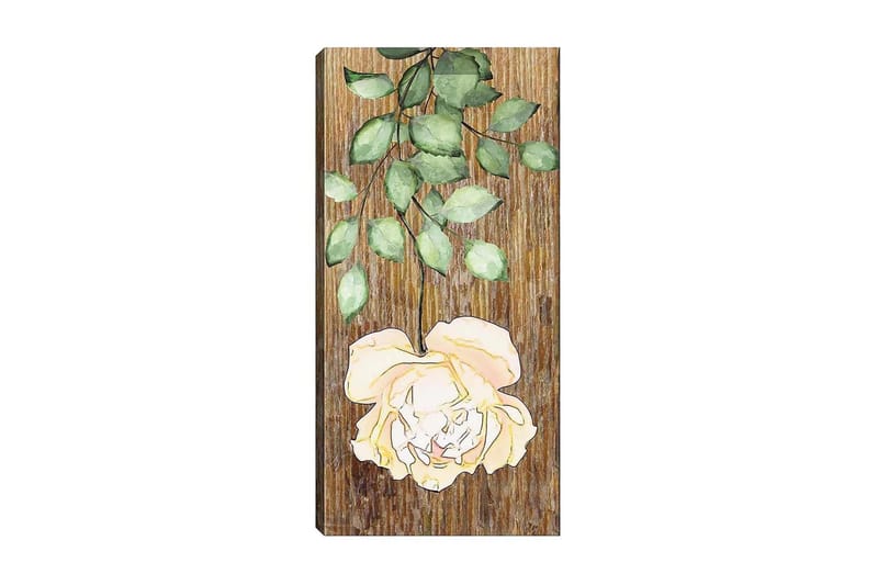 Canvastavla DKY Floral & Botanical Flerfärgad - 50x120 cm - Inredning - Tavlor & konst - Canvastavlor