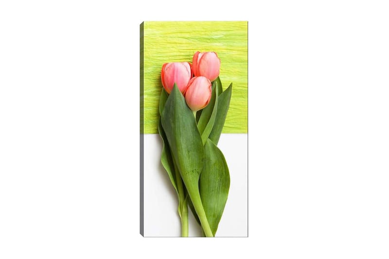 Canvastavla DKY Floral & Botanical Flerfärgad - 50x120 cm - Inredning - Tavlor & konst - Canvastavlor