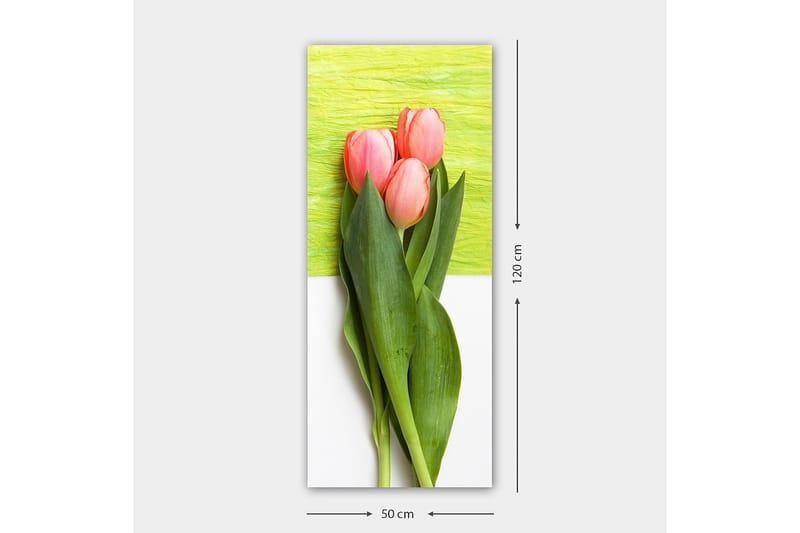 Canvastavla DKY Floral & Botanical Flerfärgad - 50x120 cm - Inredning - Tavlor & konst - Canvastavlor