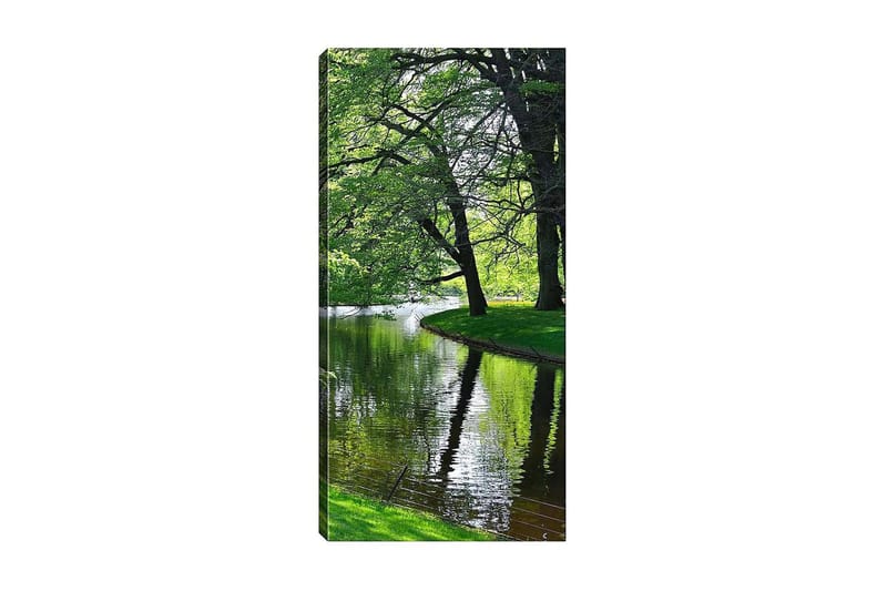 Canvastavla DKY Floral & Botanical Flerfärgad - 50x120 cm - Inredning - Tavlor & konst - Canvastavlor