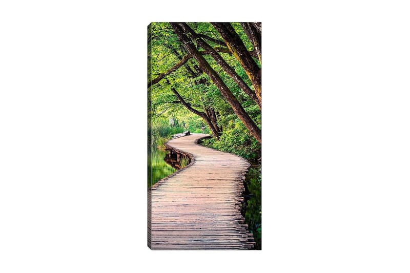 Canvastavla DKY Floral & Botanical Flerfärgad - 50x120 cm - Inredning - Tavlor & konst - Canvastavlor
