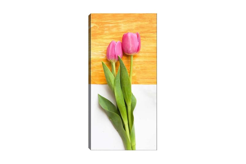 Canvastavla DKY Floral & Botanical Flerfärgad - 50x120 cm - Inredning - Tavlor & konst - Canvastavlor