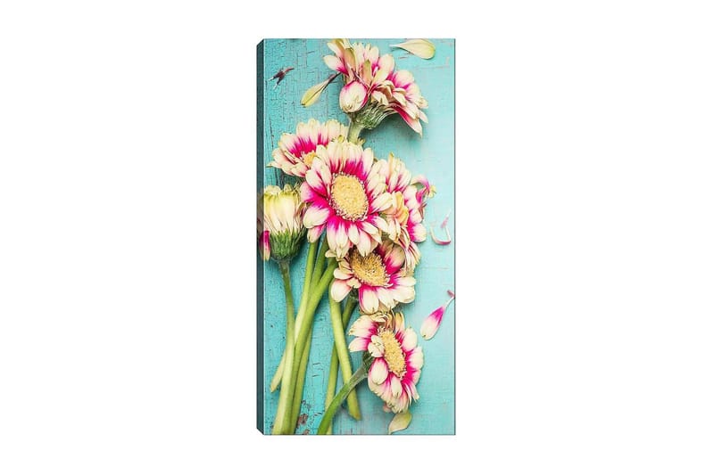 Canvastavla DKY Floral & Botanical Flerfärgad - 50x120 cm - Inredning - Tavlor & konst - Canvastavlor