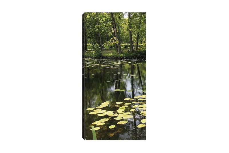 Canvastavla DKY Floral & Botanical Flerfärgad - 50x120 cm - Inredning - Tavlor & konst - Canvastavlor