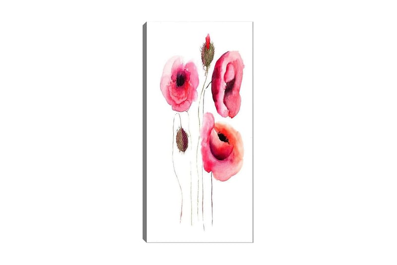 Canvastavla DKY Floral & Botanical Flerfärgad - 50x120 cm - Inredning - Tavlor & konst - Canvastavlor