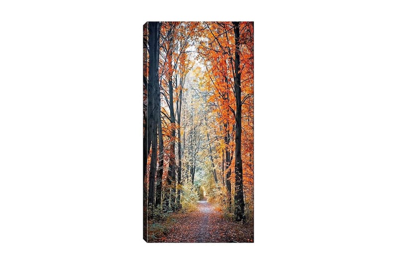 Canvastavla DKY Floral & Botanical Flerfärgad - 50x120 cm - Inredning - Tavlor & konst - Canvastavlor
