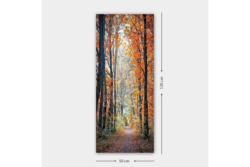 Canvastavla DKY Floral & Botanical Flerfärgad - 50x120 cm - Inredning - Tavlor & konst - Canvastavlor
