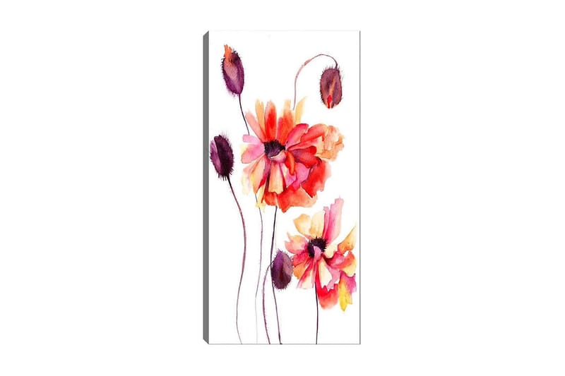 Canvastavla DKY Floral & Botanical Flerfärgad - 50x120 cm - Inredning - Tavlor & konst - Canvastavlor