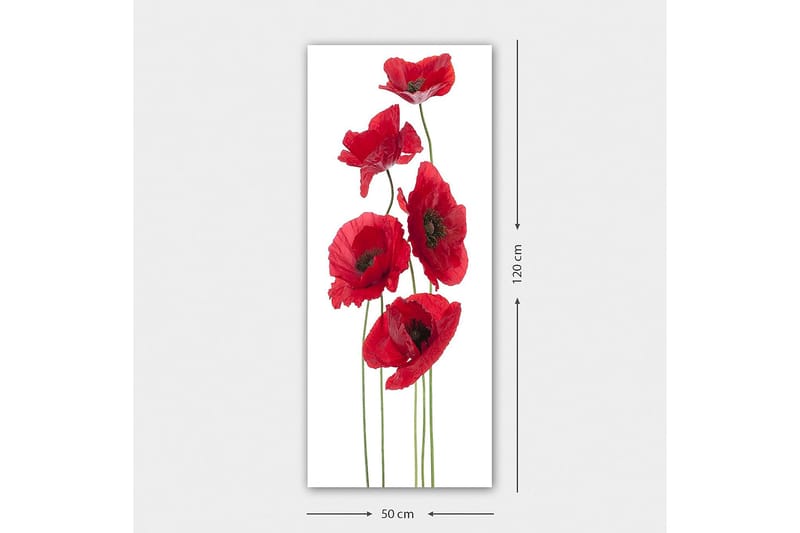 Canvastavla DKY Floral & Botanical Flerfärgad - 50x120 cm - Inredning - Tavlor & konst - Canvastavlor