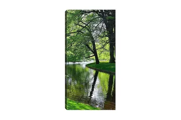 Canvastavla DKY Floral & Botanical Flerfärgad - 50x120 cm - Inredning - Tavlor & konst - Canvastavlor